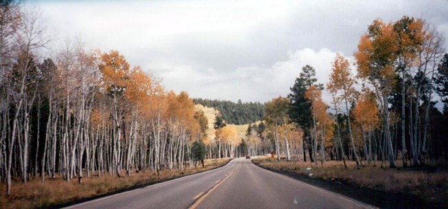 Fall Road